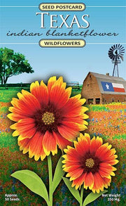 Texas Indian Blanketflower Wildflower Seed Packet