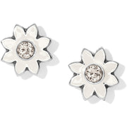 Brighton Jasmine Bloom Mini Post earrings