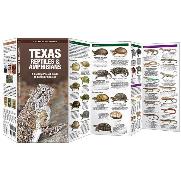 Texas Reptiles & Amphibians Pocket Guide (9781620053706)