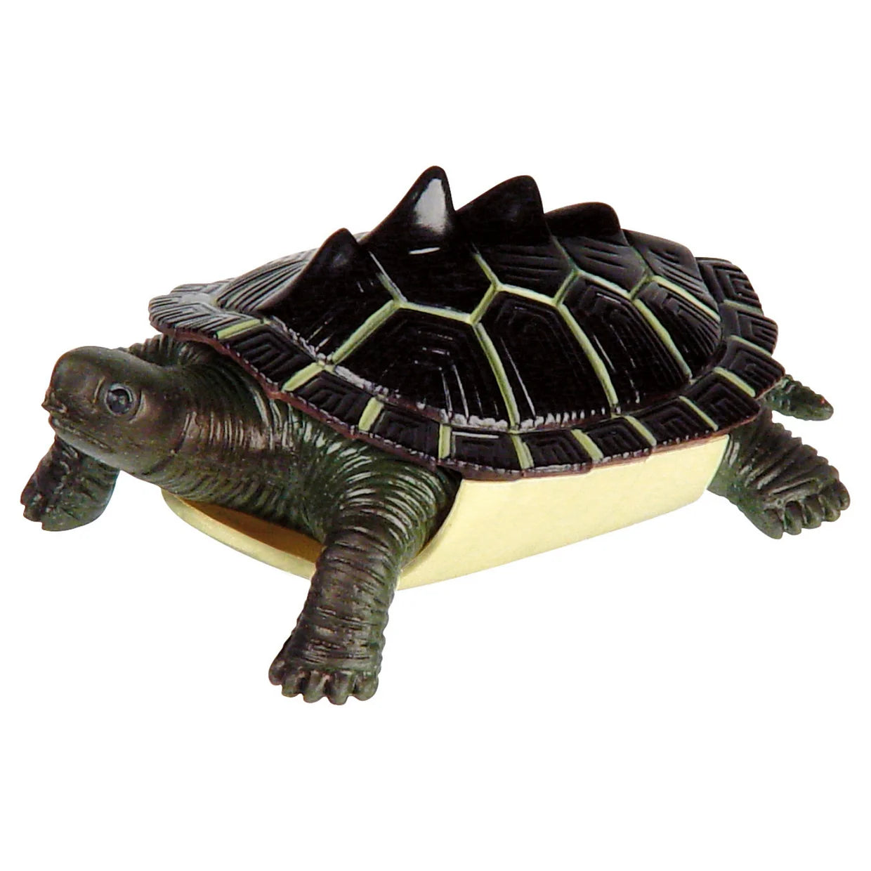 Toysmith Turtle Squishimals (1753)(Color Chosen Randomly )