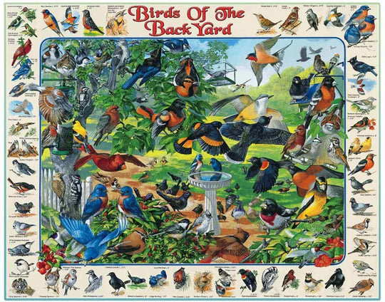 White Mountain Birds of the Backyard Puzzle (1000 Piece)