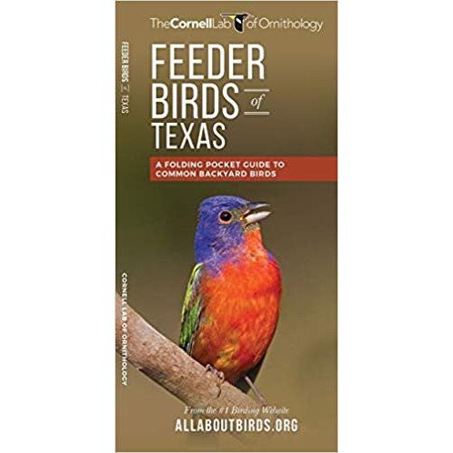Texas Feeder Birds: A Folding Pocket Guide to Backyard Birds (9781620052204)