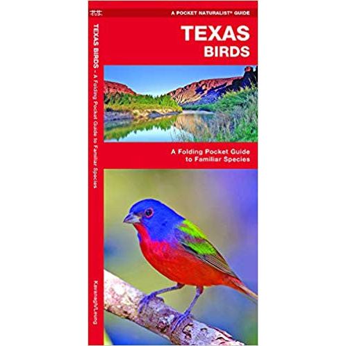 Texas Birds: A Folding Pocket Guide to Familiar Species (9781583551189)