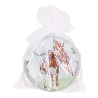 Texas Longhorn Glory Haus Coaster Set  (460143401 )