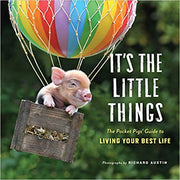 It's the Little Things Book (9781523508297)