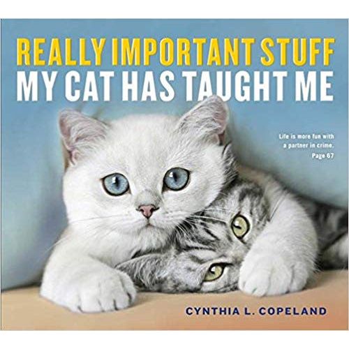 Really Important Stuff My Cat Has Taught Me-Book