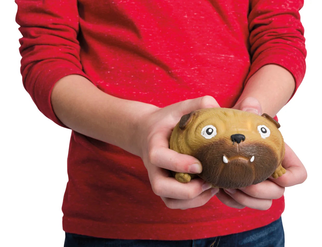 ToySmith Skwishy Pet Dogs (5643)(Chosen at Random)