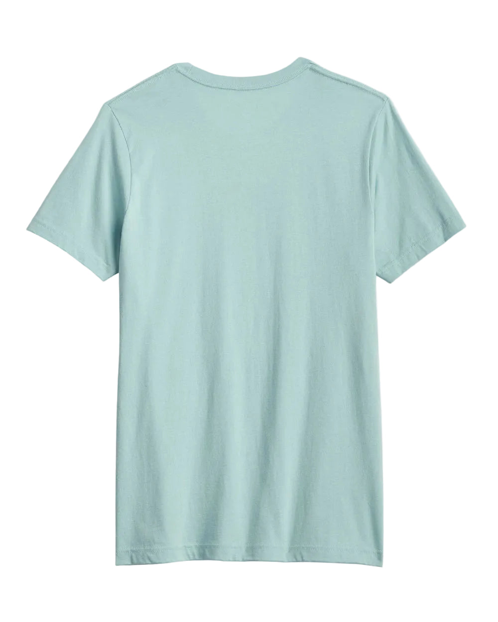 Pendleton Men's short sleeve Canoe Graphic Tee (RG1545-74850)(Dusty Blue)