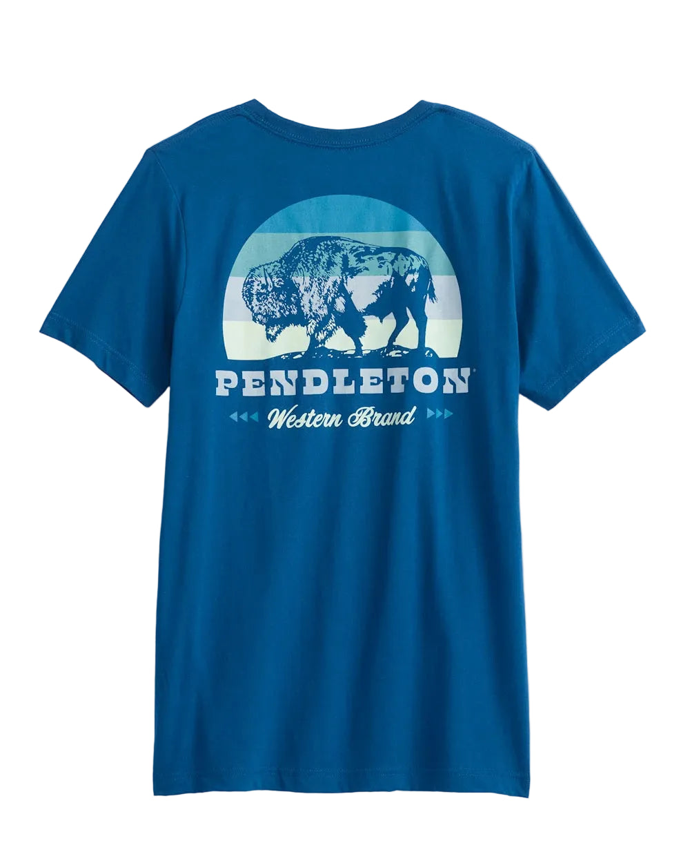Pendleton Men's short sleeve Bison Sunset Graphic Tee (RG1550-74847)(Cool Blue)