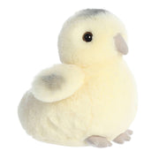 Aurora Ameraucana Chick Stuffed Animal
