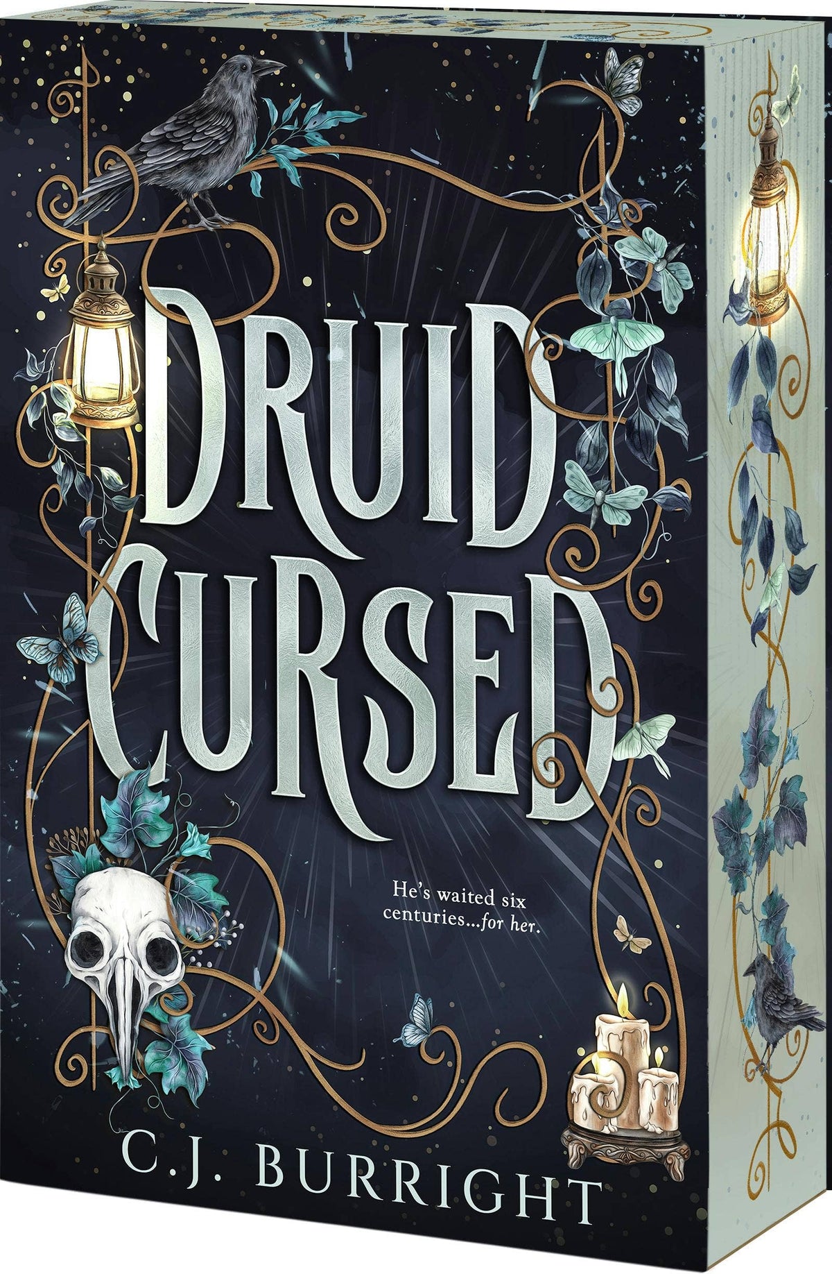 Druid Cursed: Paperback