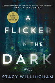 A Flicker In The Dark: A Novel