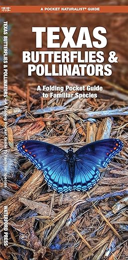 Texas Butterflies Pocket Guide (9781620053768)