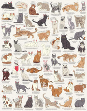 The Cat  Lovers 1000 Piece Jigsaw Puzzle in a Tube