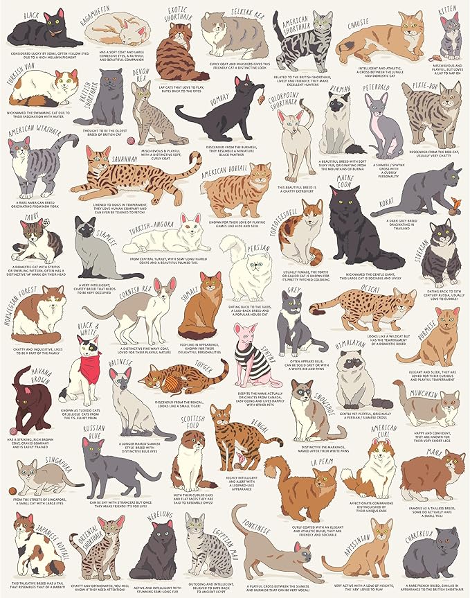 The Cat  Lovers 1000 Piece Jigsaw Puzzle in a Tube