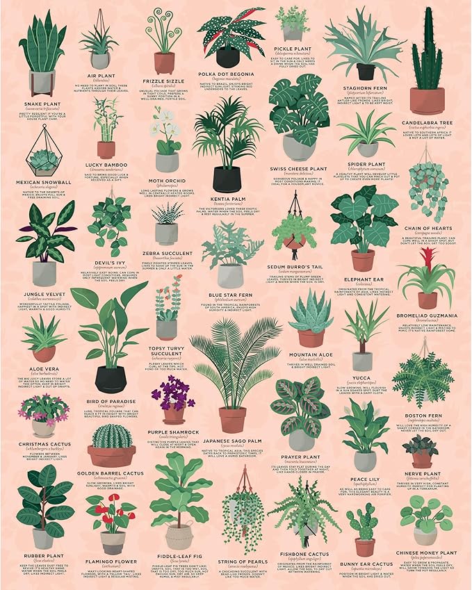 House Plants 1000 Piece Jigsaw Puzzle in a Tube