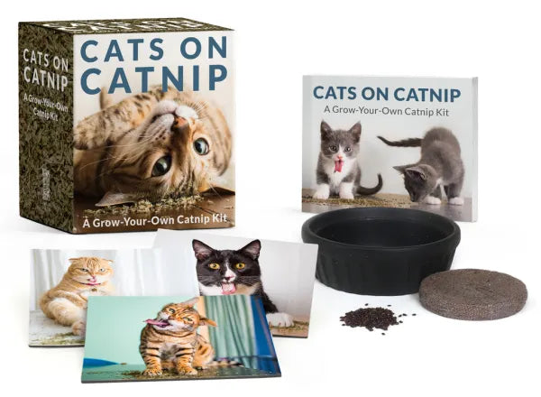 Hachette Cats On Catnip Kit Collectible