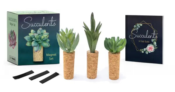 Hachette Tiny Succulents Magnet Set of 3 Collectible
