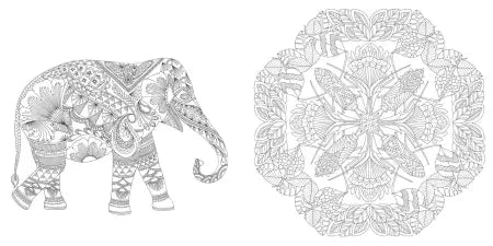 Hachette MIllie Marotta's Wildlife Wonders Coloring Book Adventures