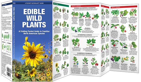 Edible Wild Plants Pocket Guide & Identifier (9781583551271)