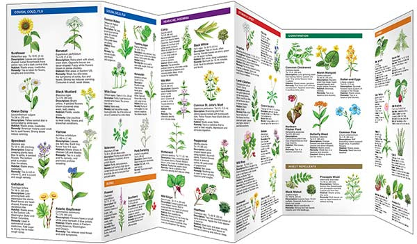 Medicinal Plants Pocket Guide & Identifier (9781583551905)