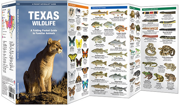 Texas Wildlife: A Folding Pocket Guide to Familiar Animals (9781583552544)