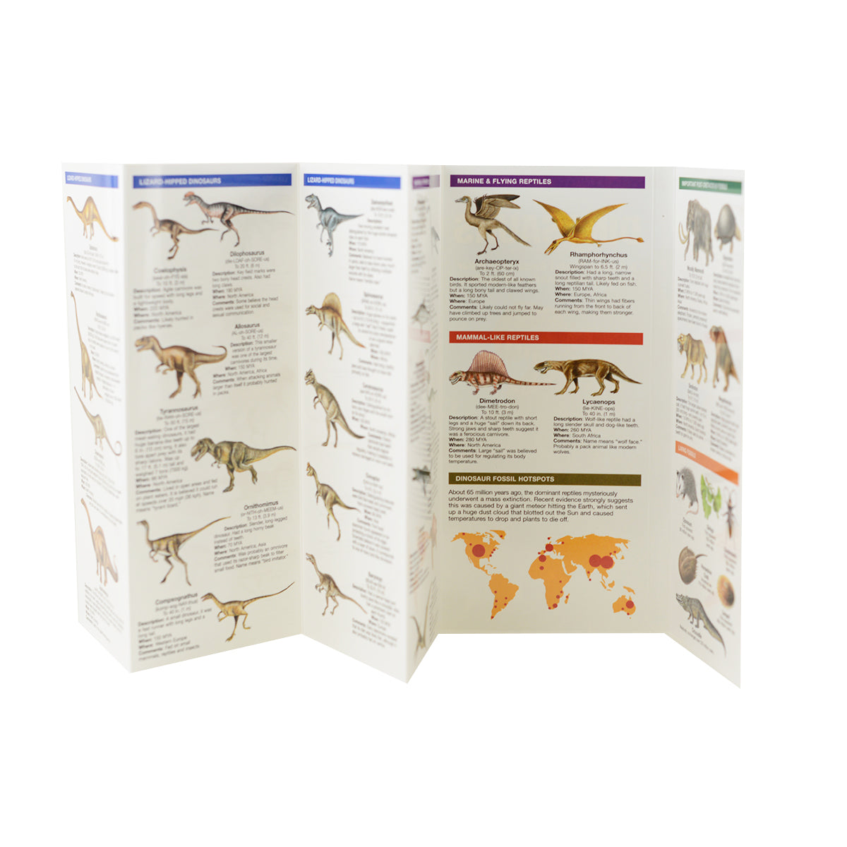 Dinosaurs Pocket Guide (9781620052877)