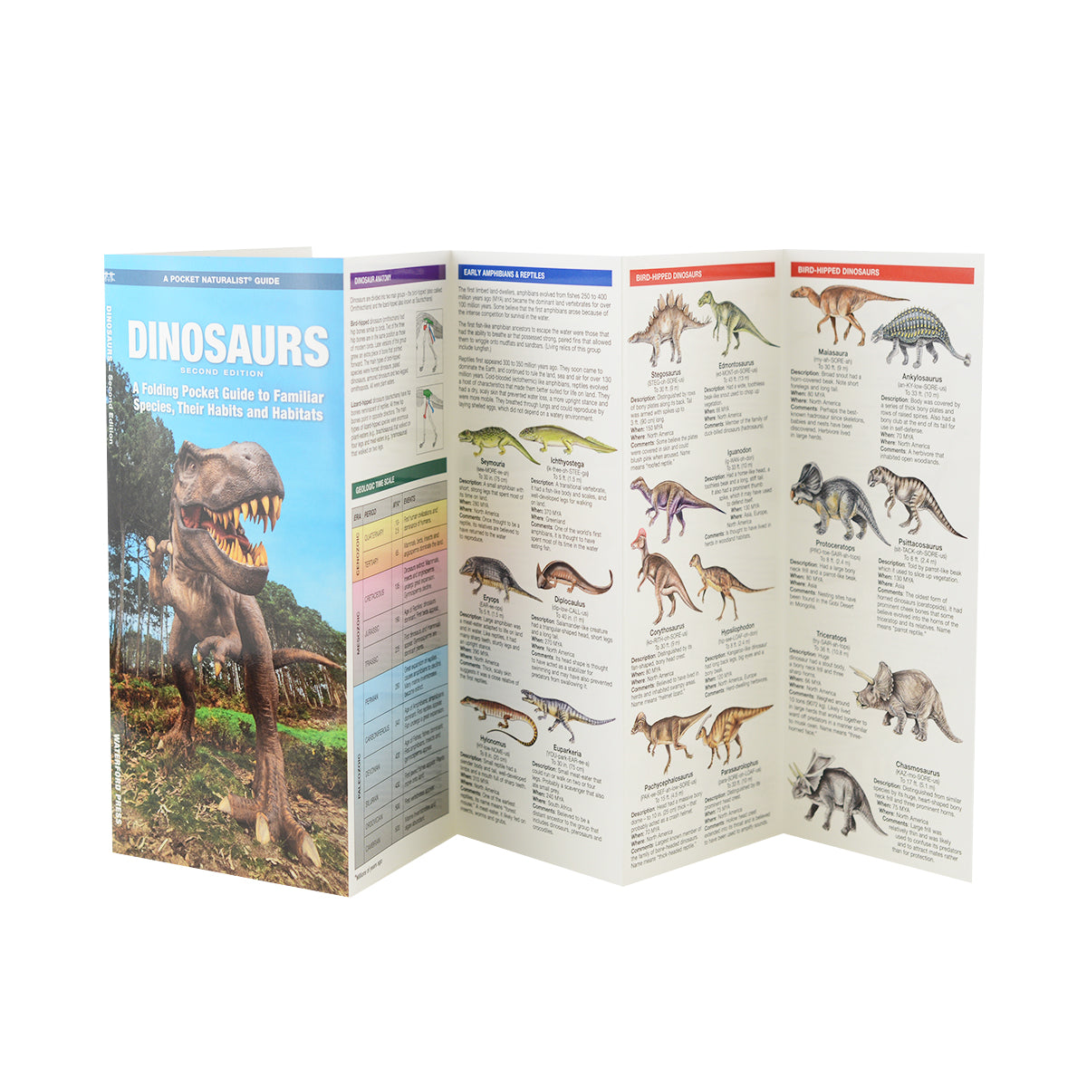 Dinosaurs Pocket Guide (9781620052877)