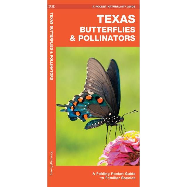 Texas Butterflies Pocket Guide (9781620053768)