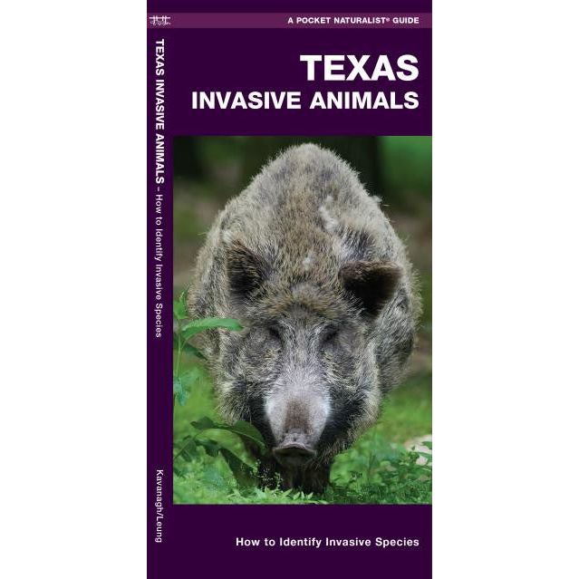Texas Invasive Animals Pocket Guide (9781620053775)
