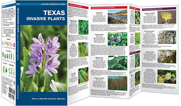 Texas Invasive Plants Pocket Guide (9781620054321)