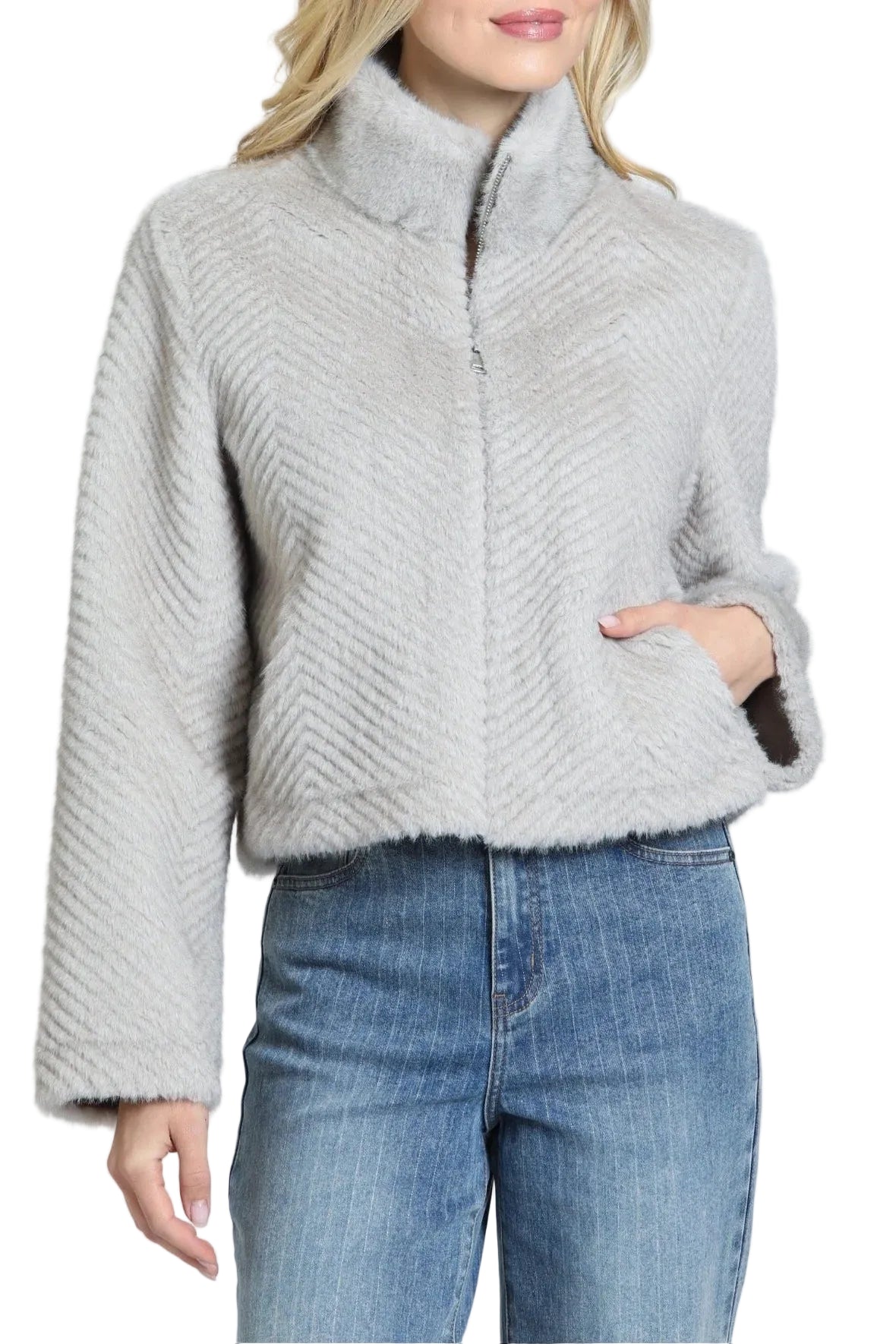 APNY Zig Zag Textured Zip-up Jacket  (C144A) (Silver Taupe)