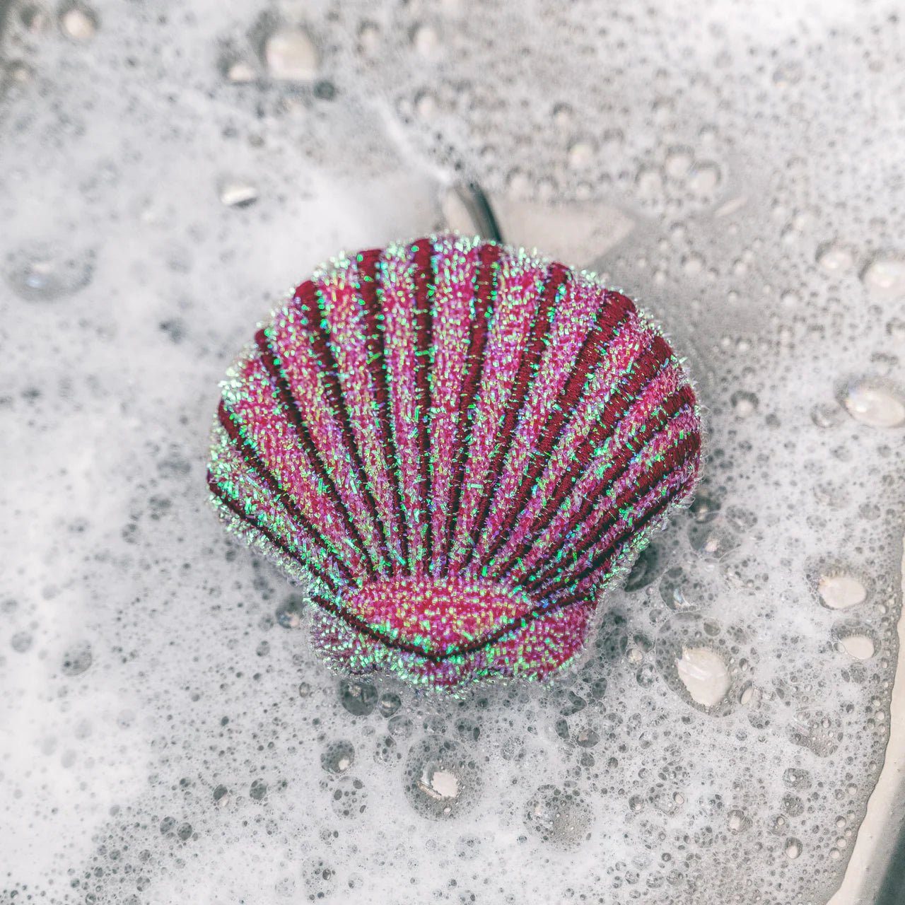Kikkerland Sea Shell Sponge Set of 2