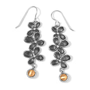Brighton Everbloom Trio French Wire Earrings (JA8612)