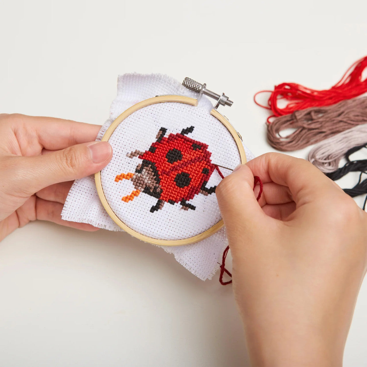 Kikkerland Ladybug Mini Cross Stitch Embroidery Kit (GG229)