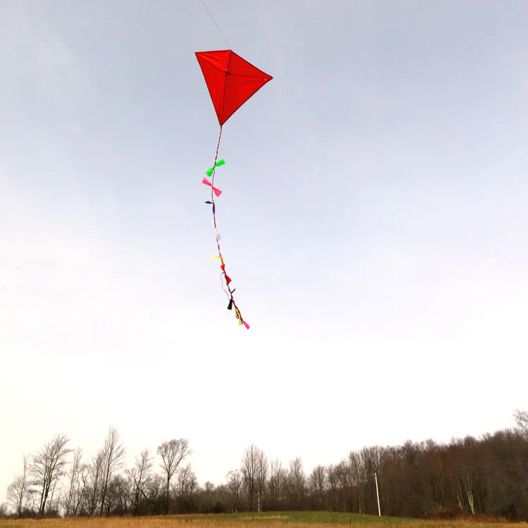 Kikkerland Huckleberry Red Kite (HB11)