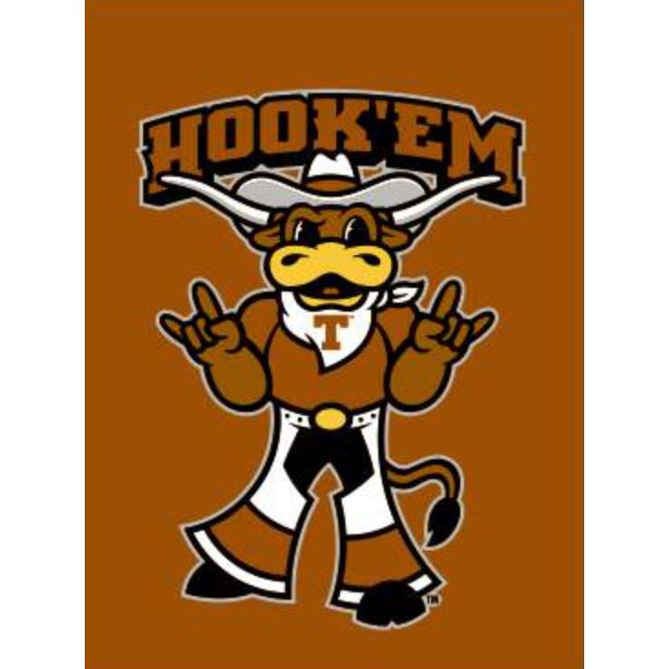 Texas Longhorn Hook 'Em Bevo Garden Flag (013131859H)