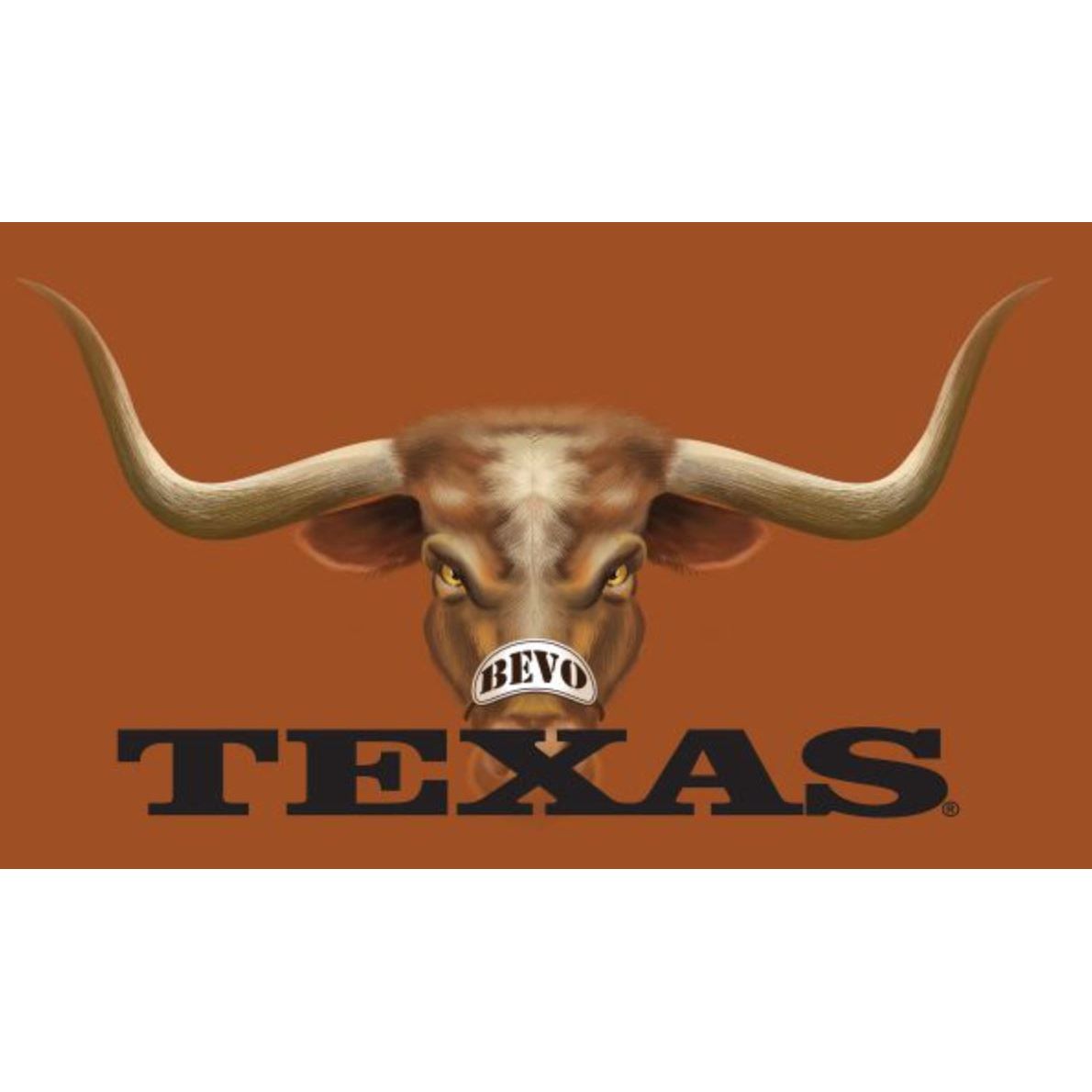 Texas Longhorn 3D Bevo Close Up 3' X 5' Flag