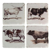 Texas Bovine Coasters (Set of 4) (RMCSBV)
