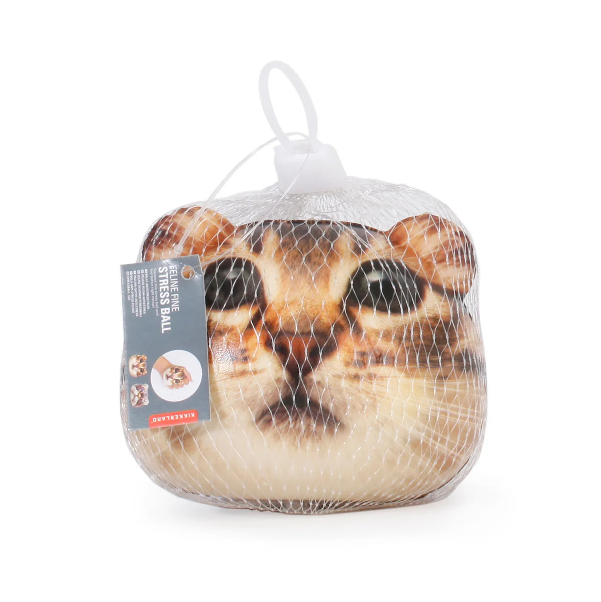 Kikkerland Fine Feline Stress Ball  (SB02-A)(Design Chosen at Random)