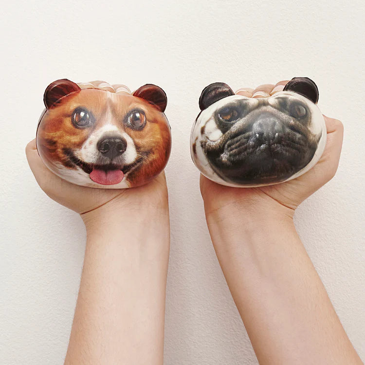 Kikkerland Feeling Ruff Stress Ball (SB03-A) (Design chosen at Random)