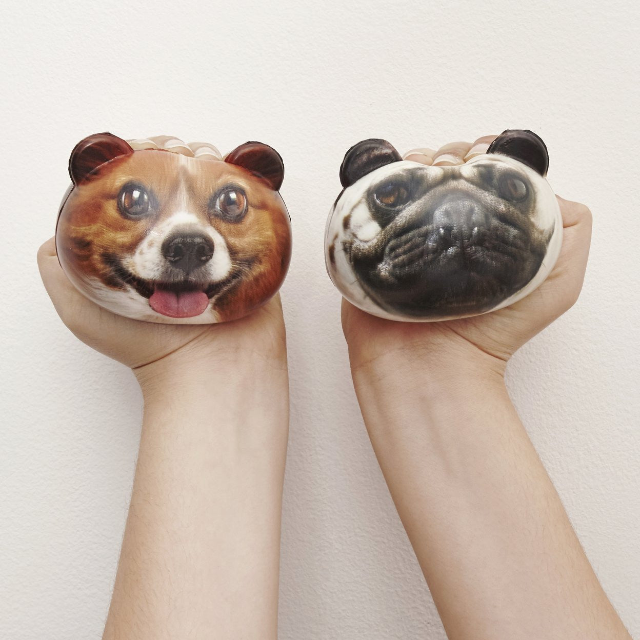 Kikkerland Dog Stress Ball (Selected at Random)