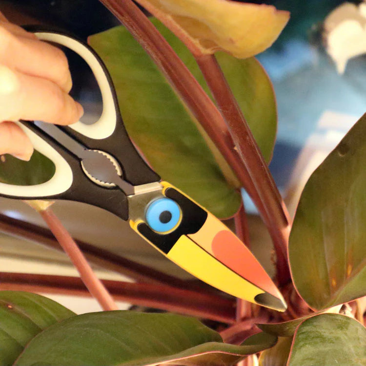 Kikkerland Toucan Kitchen Shears (SC16)