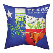 Texas Collage Climaweave Pillow (SLTCMC)