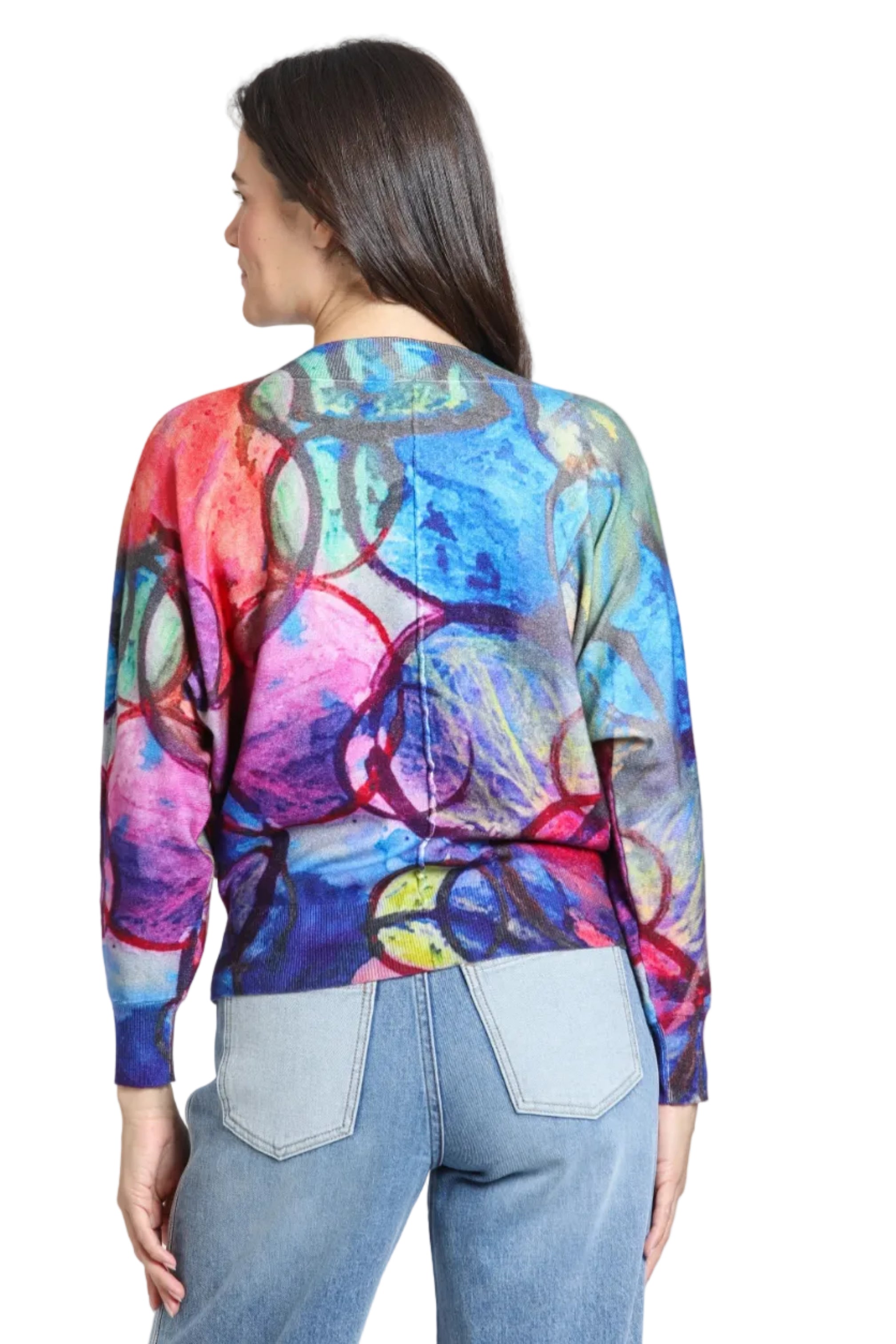 APNY Overlapping Circles V-neck Sweater ( SW132F)(Prisms Multi)