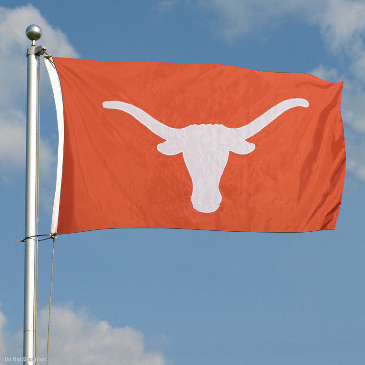 Texas Longhorn Applique Logo 3' X 5' Flag (013030511)