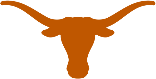 アメリカ製ビンテージラグマットテキサスロングホーンズテキサス大学カレッジチーム Longhorns – SuePatrick.com
