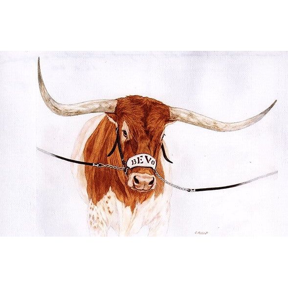 Texas Tough Bevo XV Signed Print By Cathy Munson