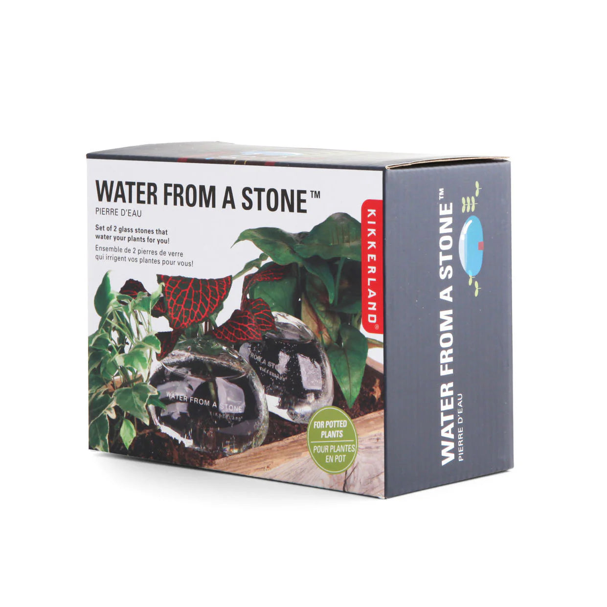 Kikkerland Water From A Stone (Set of 2)