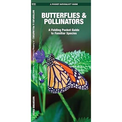 Texas Butterflies Pocket Guide